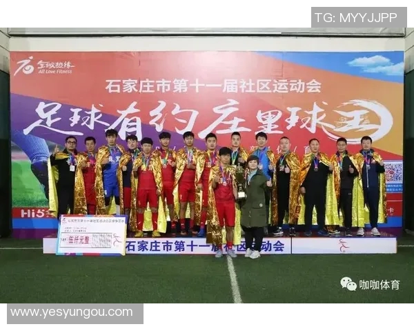 利姓足球明星的辉煌历程与成就解析 利姓足球明星的辉煌历程与成就解析